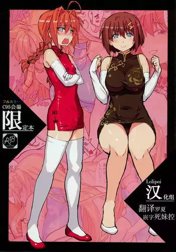 (C95) [Studio Himawari (Himukai Kyousuke)] C95 Kaijou Genteibon (Mahou Shoujo Lyrical Nanoha) [Chinese] [Lolipoi???]