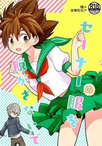 Sēnā no fuku o nugasanaidesample