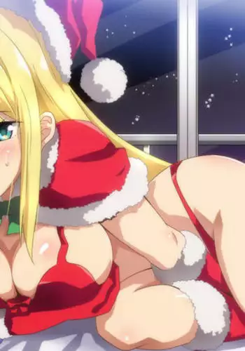 Hitorigurashi no Otoko no Ie ni Santa-san ga Yattekita