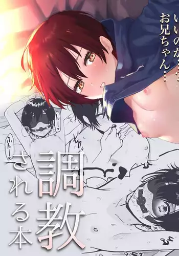 [Akiya (Ema)] Otokoppoi Loli ga Choukyou sareru Hon