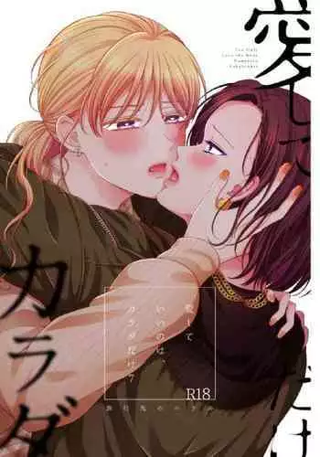 Aishite Ii no wa, Karada dake - Can Only Love the Body 7 Ryokousaki no Hotel