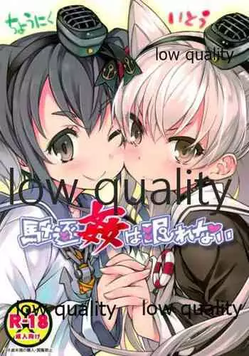 駆逐姦は眠れない