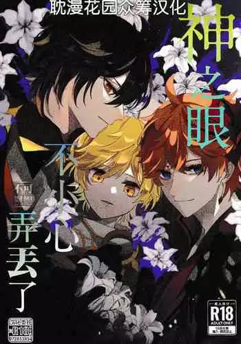 Kami no Me Otoshichatta | 神之眼不小心弄丟了