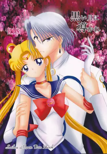 (C82) [MoE (Eiri)] Kuroi Tsuki ni Michibikare (Sailor Moon)