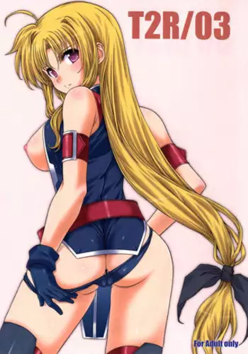 (C85) [BRIEST (Yatsushima Tetsuya)] T2R/03 (Various)