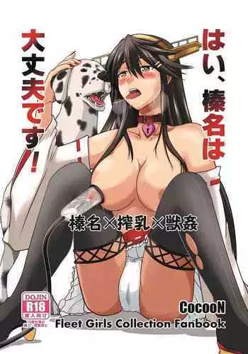 Hai, Haruna wa Daijoubu desu! Haruna x Sakunyuu x Juukan